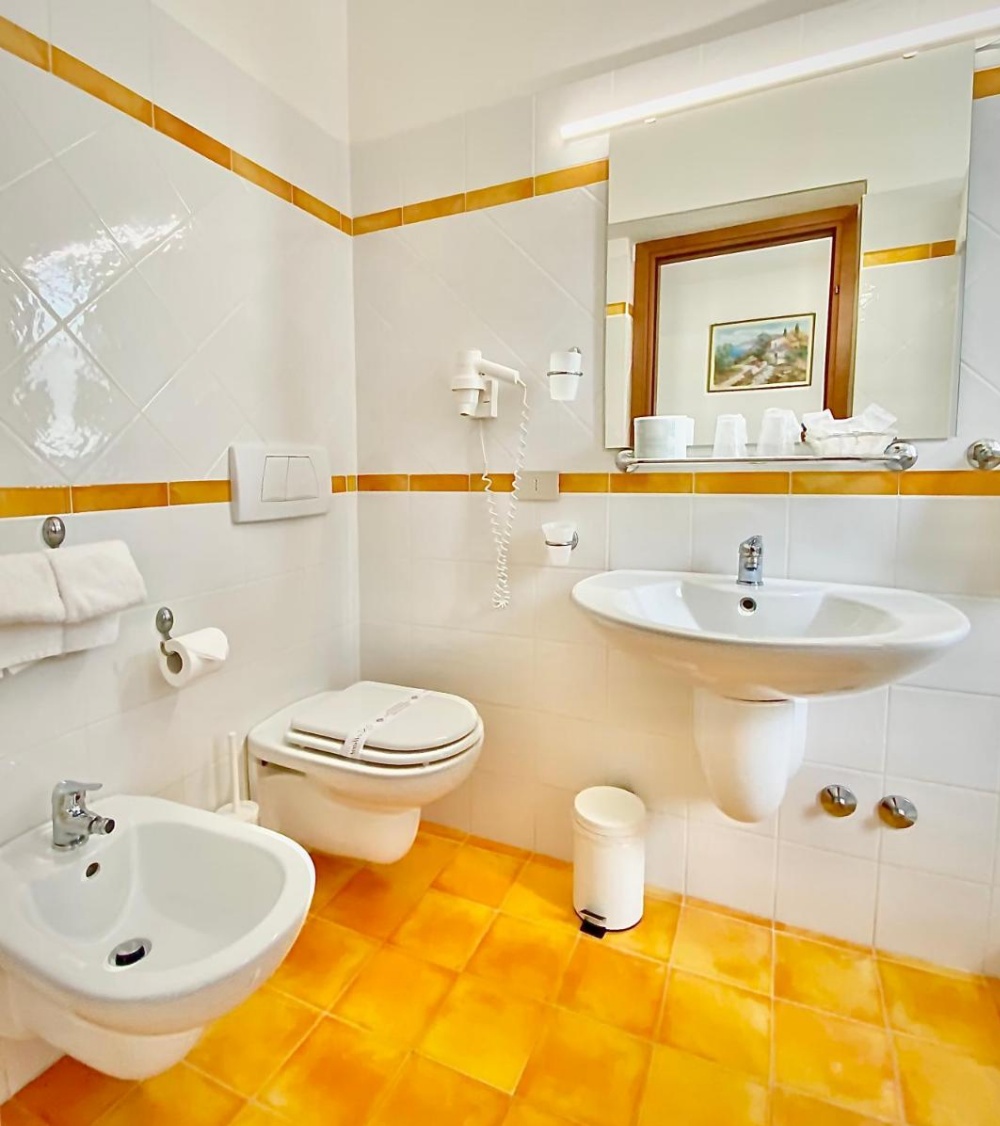 Hotel Sylesia Main image